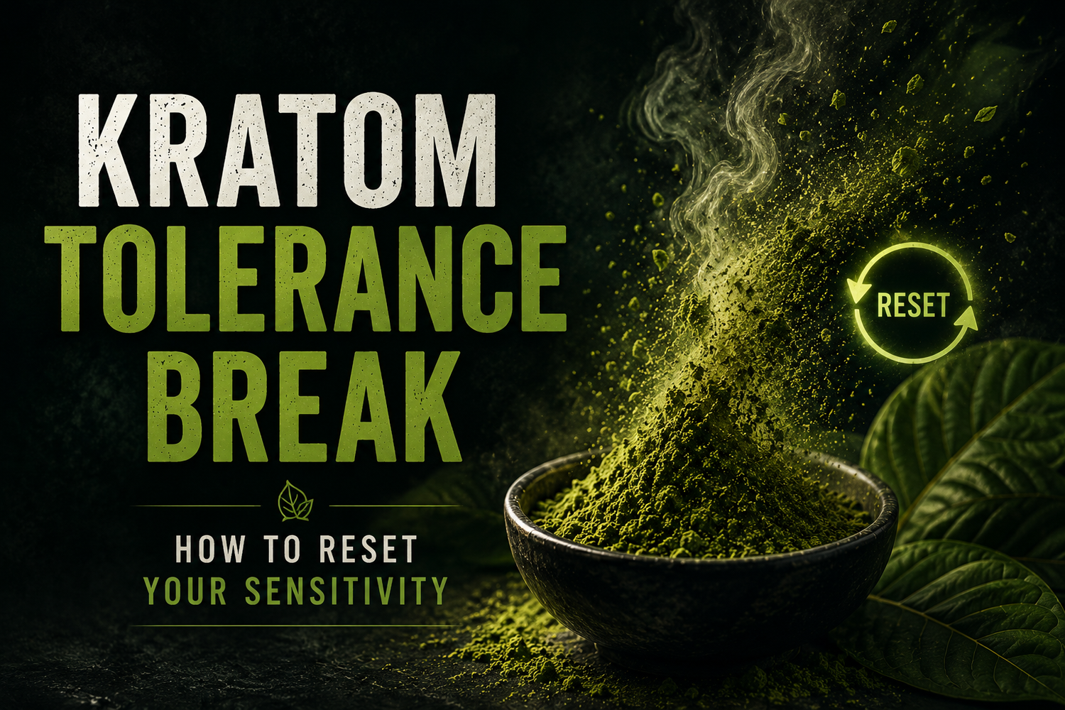 Kratom Tolerance Break: Sensitivity Reset