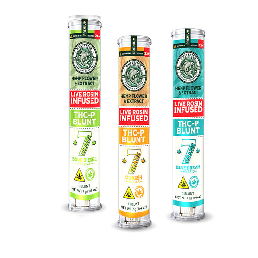 White Fish – 7g Rosin-Infused Party Blunt